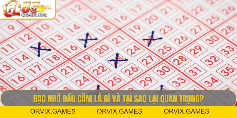 Bạc Nhớ Đầu Câm: Giải Mã Khái Niệm Và Ứng Dụng Trong Lô Đề Tại QH88