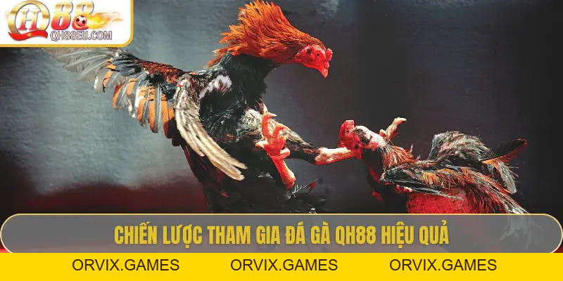 Đá Gà QH88 – Trải Nghiệm Cá Cược Sôi Động Cho Người Chơi Đam Mê