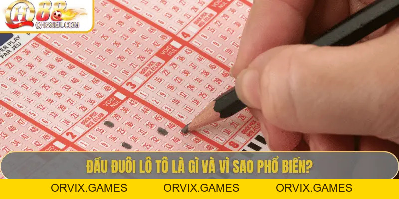 Đầu Đuôi Lô Tô: Cách Chơi Và Kinh Nghiệm Thực Tế Từ Chuyên Gia QH88