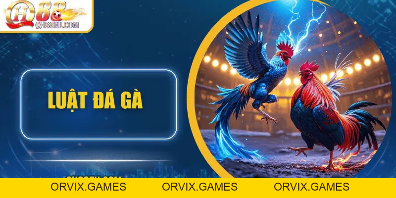 QH88 Chia Sẻ Luật Đá Gà Chuẩn Nhất Cho Người Chơi