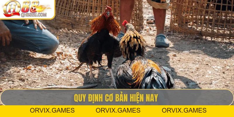 QH88 Chia Sẻ Luật Đá Gà Chuẩn Nhất Cho Người Chơi