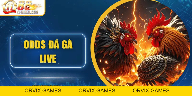 Đá Gà QH88 – Trải Nghiệm Cá Cược Sôi Động Cho Người Chơi Đam Mê