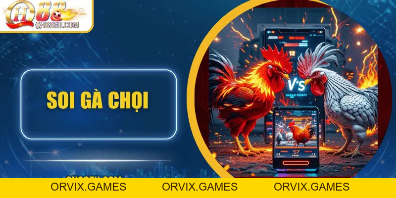 Hướng Dẫn Soi Gà Chọi – Nghệ Thuật Chọn Chiến Kê Giúp Thắng Lớn Tại QH88
