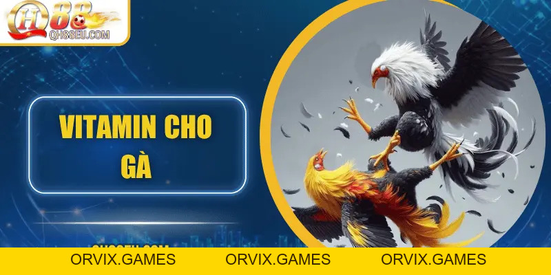 Đá Gà QH88 – Trải Nghiệm Cá Cược Sôi Động Cho Người Chơi Đam Mê