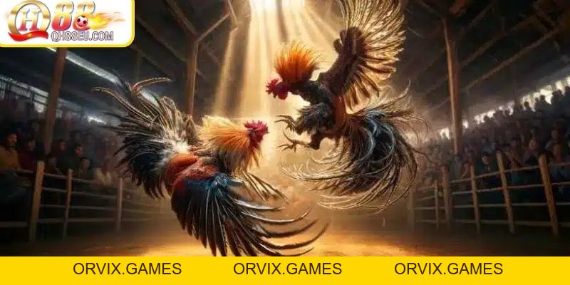 ODIN QH88 – Trải Nghiệm Đá Gà Chuẩn Châu Âu Đỉnh Cao