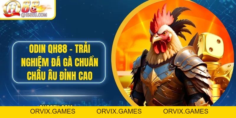 ODIN QH88 – Trải Nghiệm Đá Gà Chuẩn Châu Âu Đỉnh Cao