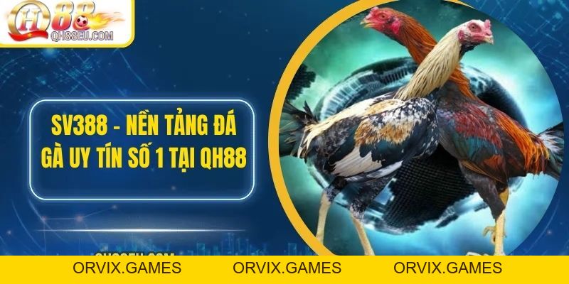 SV388 – Nền Tảng Đá Gà Uy Tín Số 1 Tại QH88