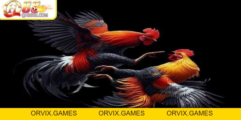 ODIN QH88 – Trải Nghiệm Đá Gà Chuẩn Châu Âu Đỉnh Cao