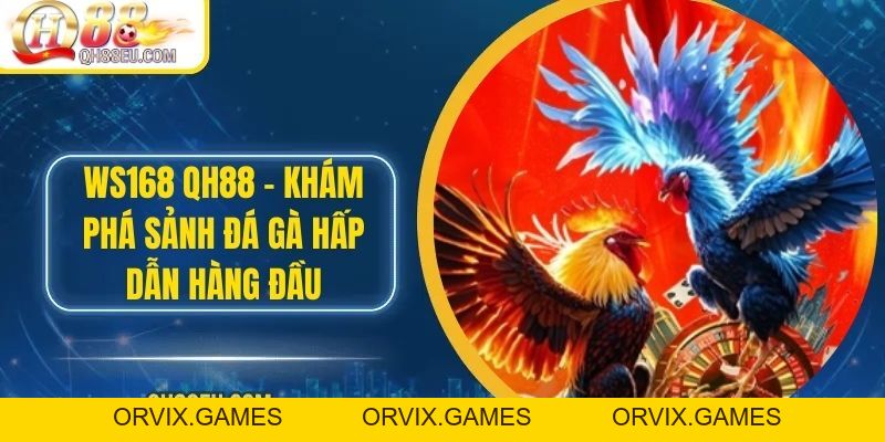 WS168 – Khám Phá Sảnh Đá Gà Hấp Dẫn Hàng Đầu Tại QH88 EU