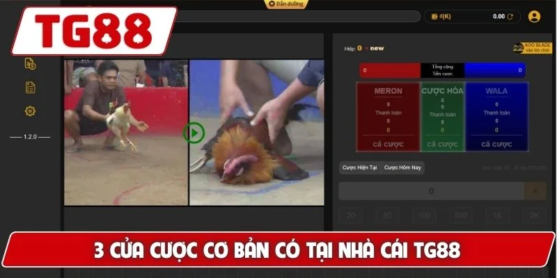 Đá Gà Cựa Dao Luck8 Siêu Phẩm Gà Chiến Nhanh Chóng Dũng Mãnh