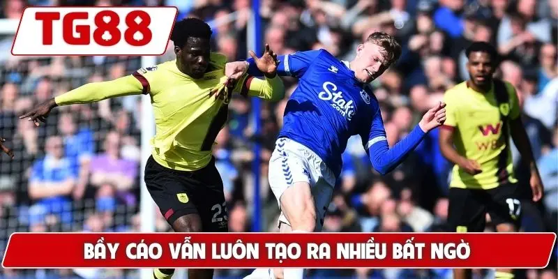 Leicester City: Kèo Cược Leicester City Tại TG88 Hôm Nay