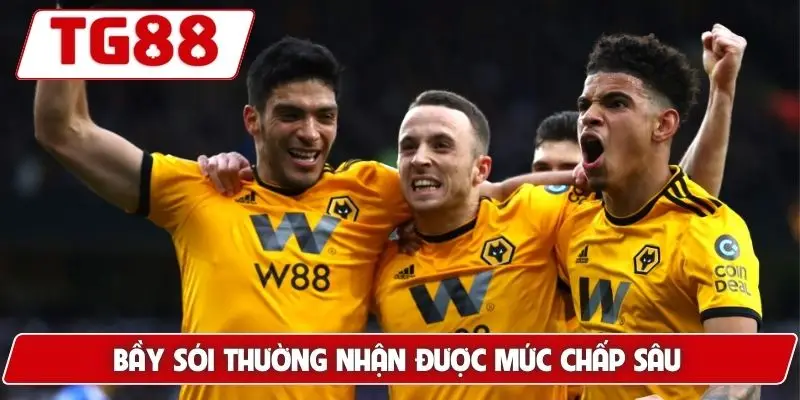 Wolverhampton Wanderers: Tin Tức Và Kèo Cược Wolver Tại TG88 Wolverhampton Wanderers: Tin Tức Và Kèo Cược Wolver Tại TG88