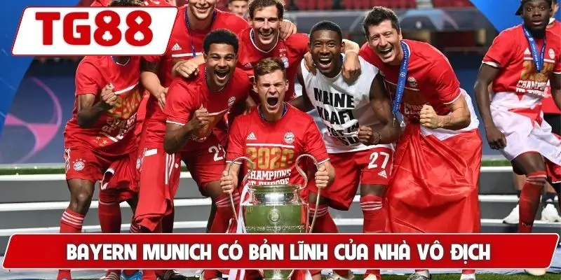 Bayern Munich Cập Nhật Kèo Cược Bayern Munich Đêm Nay Ở TG88