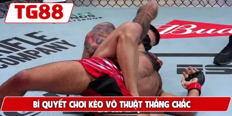 Cá Cược MMA Tại TG88 - Cảm Giác Kịch Tính Và Hồi Hộp