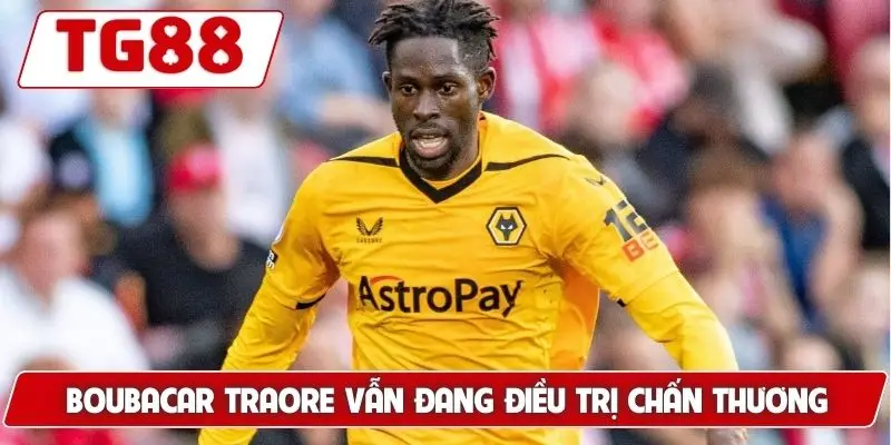 Wolverhampton Wanderers: Tin Tức Và Kèo Cược Wolver Tại TG88 Wolverhampton Wanderers: Tin Tức Và Kèo Cược Wolver Tại TG88