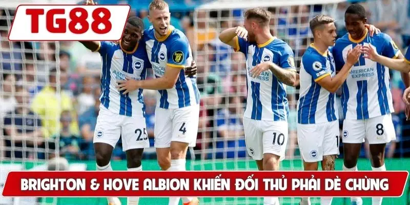 Brighton Và Hove Albion: Cập Nhật Kèo Cược Brighton Tại TG88