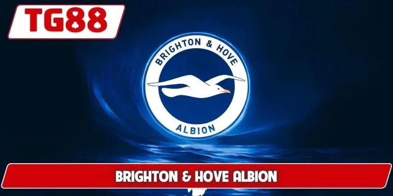 Brighton Và Hove Albion: Cập Nhật Kèo Cược Brighton Tại TG88