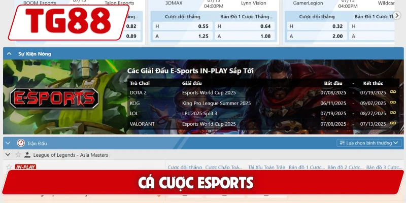 Cá Cược Esports Tại TG88 – Cơ Hội Thắng Lớn Mỗi Ngày