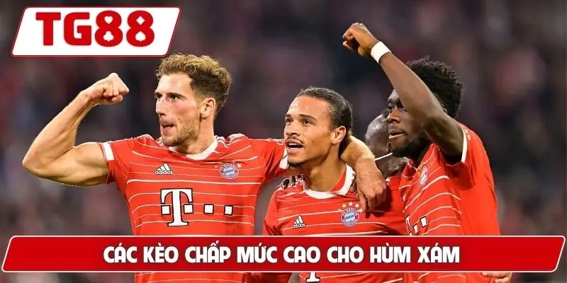 Bayern Munich Cập Nhật Kèo Cược Bayern Munich Đêm Nay Ở TG88