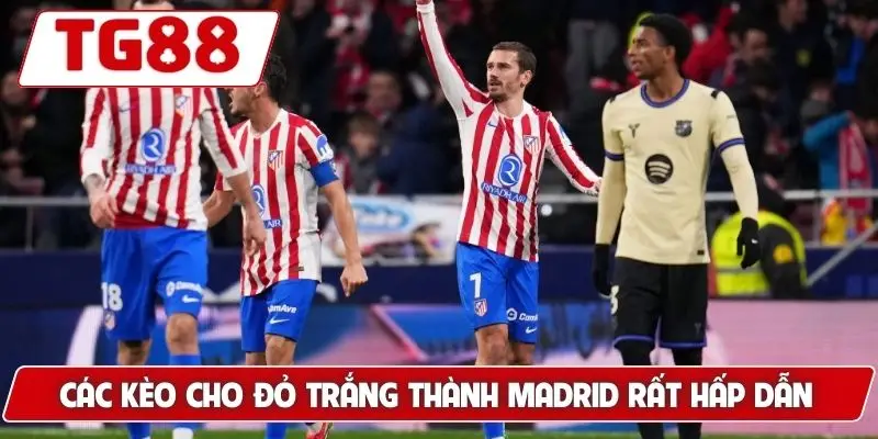 Atletico Madrid: Cập Nhật Kèo Cược Và Tin Tức Về Atletico