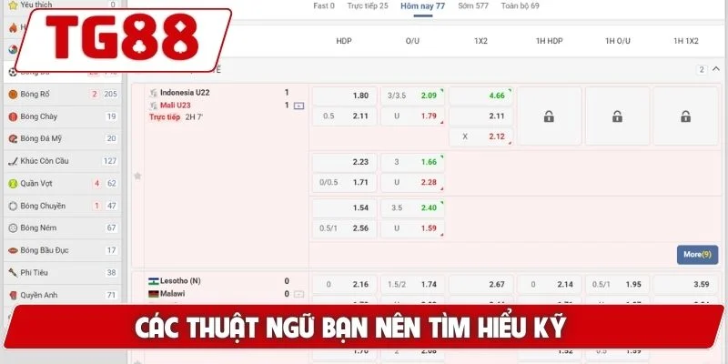 Cá Cược Bóng Đá Trực Tuyến Tại TG88 - Tỷ Lệ Kèo Hấp Dẫn