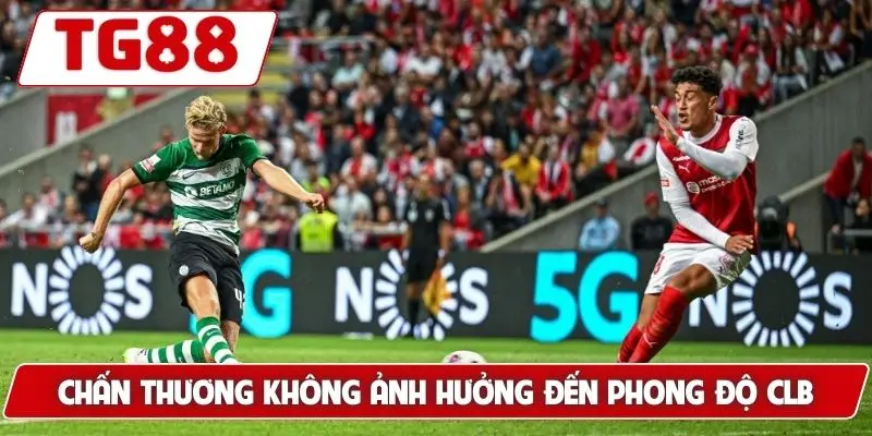 Sporting CP: Kèo Cược Và Tin Tức Mới Nhất Cập Nhật Tại TG88