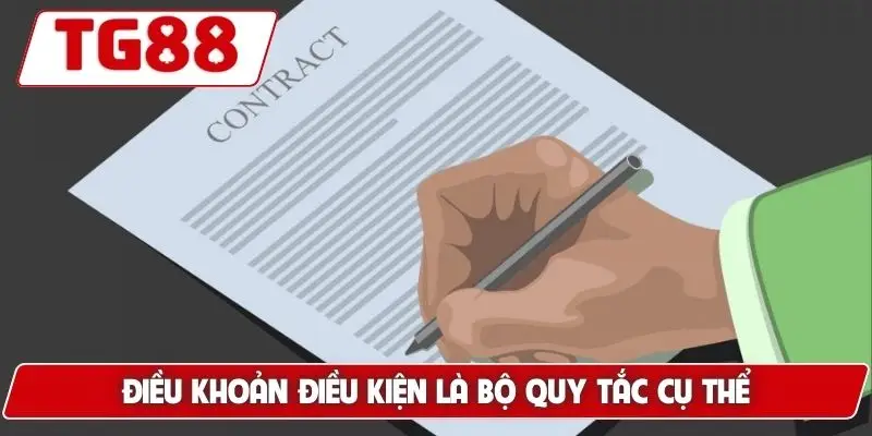 Điều Khoản Điều Kiện TG88 - Các Chuẩn Mực Khi Tham Gia Cược