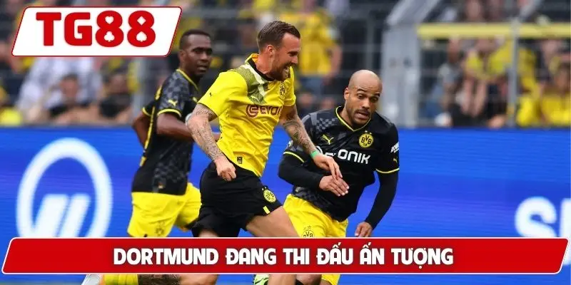 Borussia Dortmund: Kèo Cược Và Tin Tức Borussia Dortmund