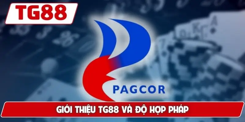 Giới Thiệu TG88 - Nhà Cái Uy Tín Số 1, Tầm Nhìn Dài Hạn