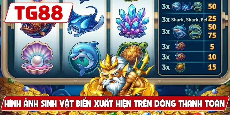 Vua Biển Jackpot: Săn Jackpot Khủng, Thưởng Cao Tại TG88