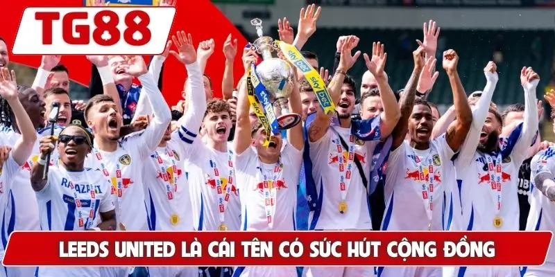 Leeds United: Cập Nhật Tin Tức Và Kèo Cược Mới Nhất Tại TG88