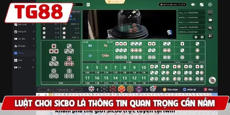 Cược Sic Bo Hấp Dẫn Tại TG88 - Cơ Hội Thắng Lớn Mỗi Ngày
