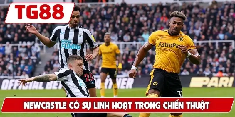 Newcastle United: Cập Nhật Kết Quả Và Kèo Cược Cùng TG88