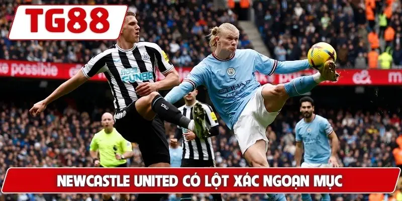 Newcastle United: Cập Nhật Kết Quả Và Kèo Cược Cùng TG88
