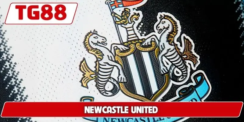 Newcastle United: Cập Nhật Kết Quả Và Kèo Cược Cùng TG88