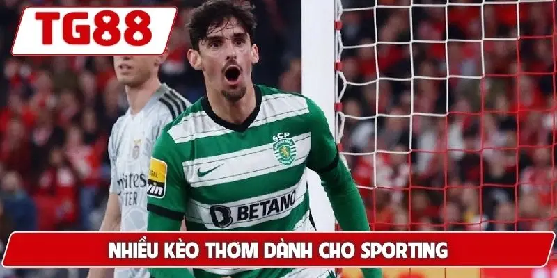 Sporting CP: Kèo Cược Và Tin Tức Mới Nhất Cập Nhật Tại TG88