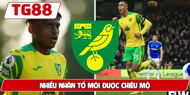 Norwich City: Cập Nhật Tin Tức Và Kèo Cược Mới Nhất Tại TG88