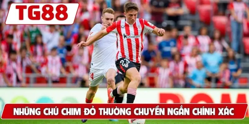 Sevilla FC: Cập Nhật Kèo Cược Sevilla FC Tại TG88 Hôm Nay