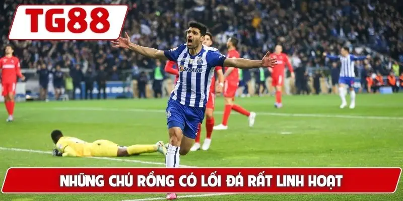 FC Porto: Kèo Cược Và Tin Tức Tại TG88 Mới Nhất
