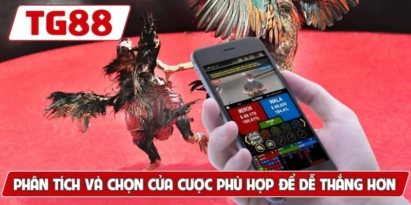 Đá Gà Cựa Sắt - Trải Nghiệm Xem Live Hấp Dẫn Tại TG88 Đá Gà Cựa Sắt - Trải Nghiệm Xem Live Hấp Dẫn Tại TG88