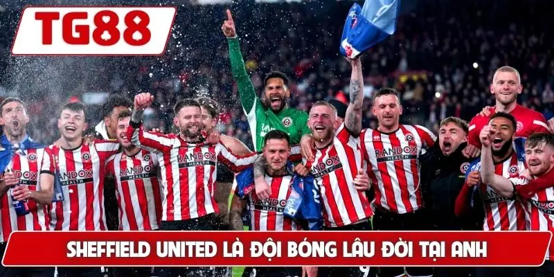 Sheffield United: Cập Nhật Kèo Cược Sheffield United Tại TG88