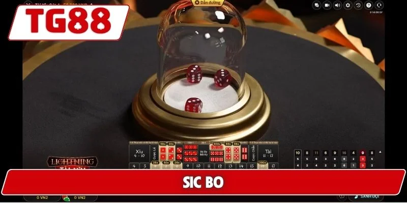 Cược Sic Bo Hấp Dẫn Tại TG88 - Cơ Hội Thắng Lớn Mỗi Ngày