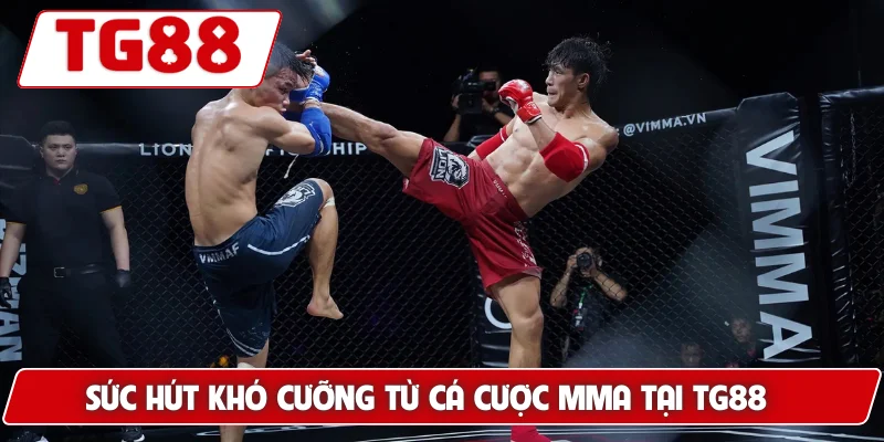 Cá Cược MMA Tại TG88 - Cảm Giác Kịch Tính Và Hồi Hộp