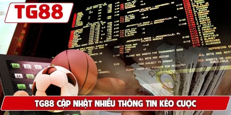 Brighton Và Hove Albion: Cập Nhật Kèo Cược Brighton Tại TG88