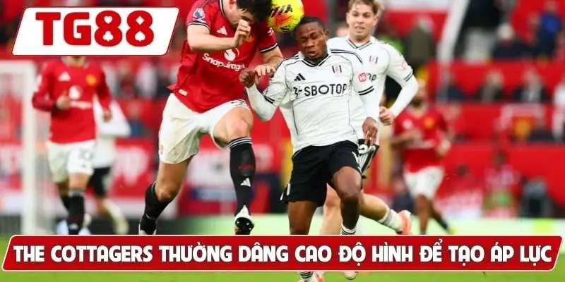 Fulham FC: Kèo Cược Fulham FC Và Cập Nhật Tin Tức 2026