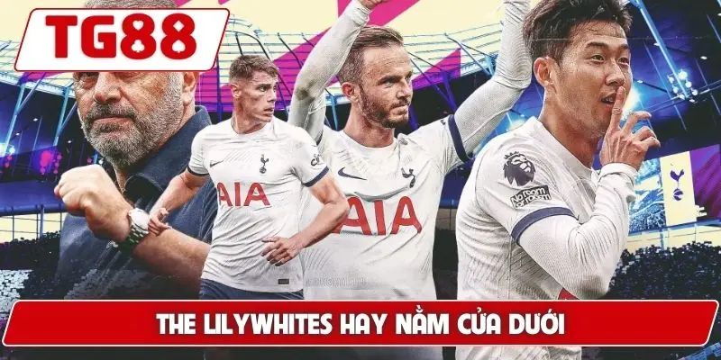 Tottenham: Tin Tức Mới Và Kèo Cược Hôm Nay Tại Nền Tảng TG88 Tottenham: Tin Tức Mới Và Kèo Cược Hôm Nay Tại Nền Tảng TG88