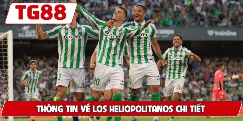 Real Betis – Cập Nhật Tin Tức Diễn Biến Mới Nhất Cùng TG88