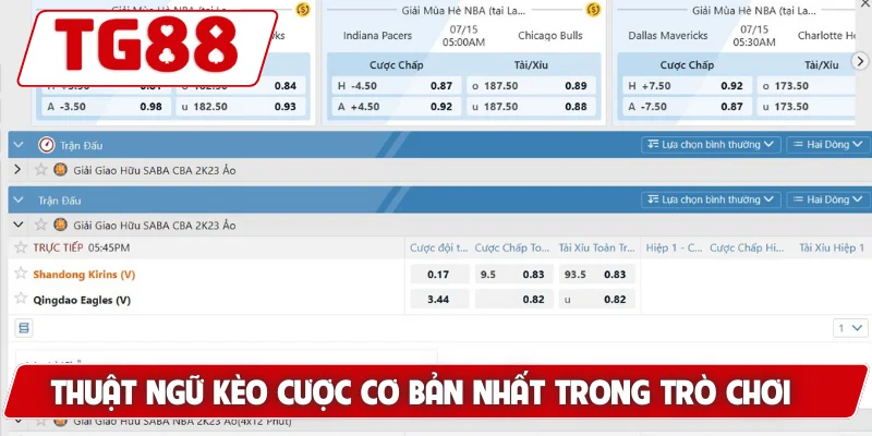 Cá Cược Bóng Rổ Tại TG88 – Thử Thách Mới Cho Cược Thủ