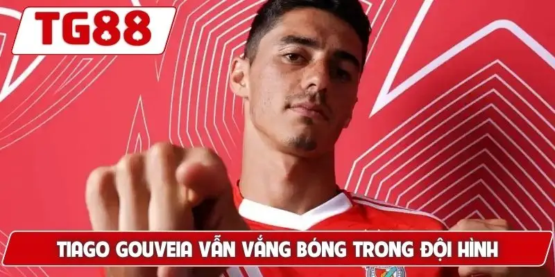 Benfica: Cập Nhật Kèo Cược Benfica FC Tại TG88 Hôm Nay