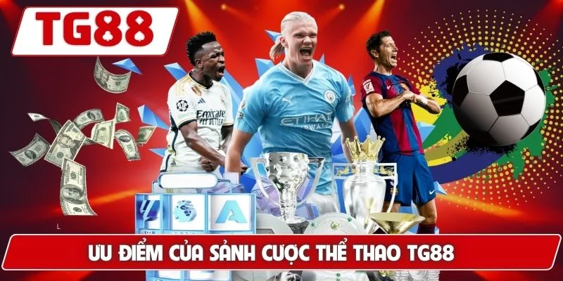 Cá Cược Thể Thao Trực Tuyến Đỉnh Cao Siêu Hấp Dẫn Tại TG88